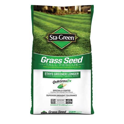 These seeds thrive under tough southern soils and temperatures to keep your lawn full and vibrant. . Lowes grass seed
